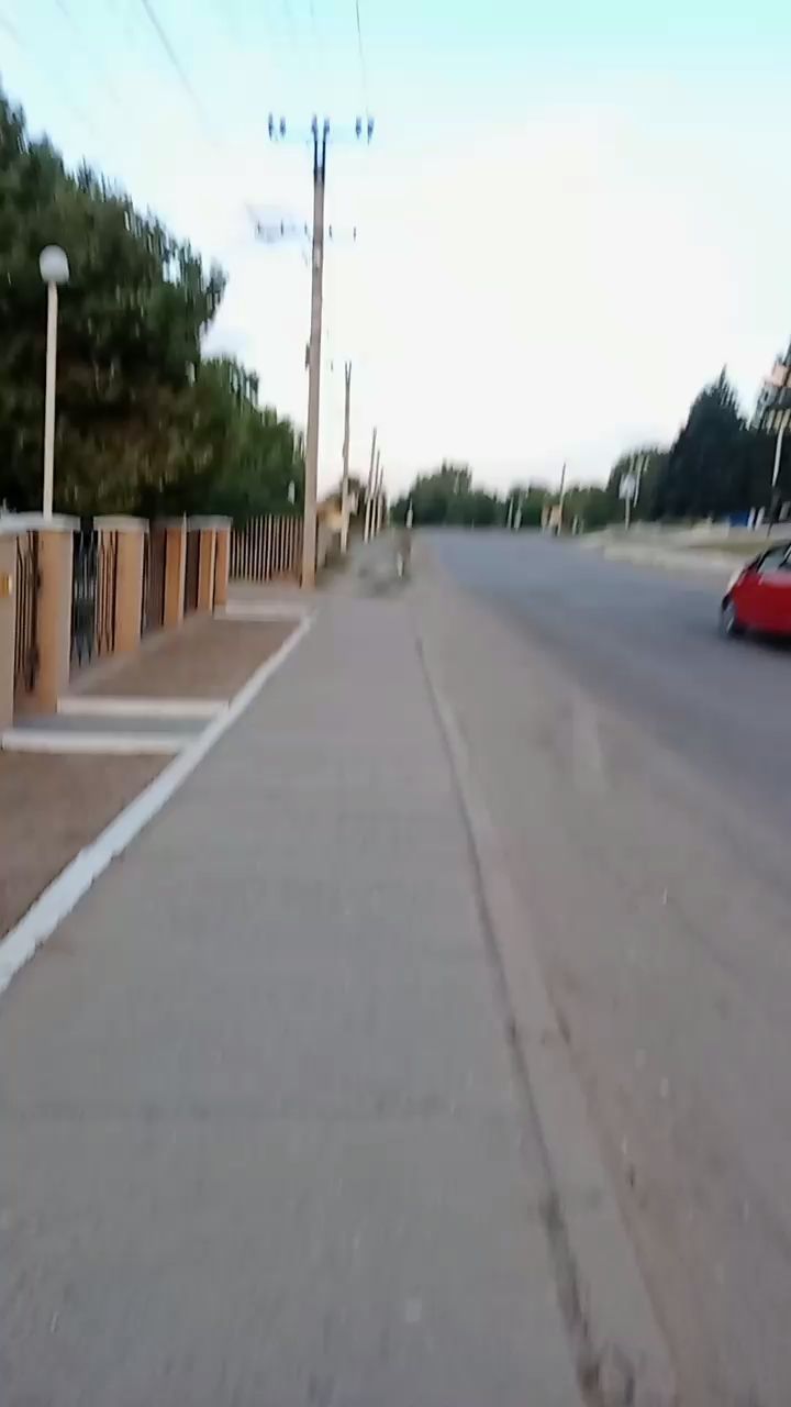 dicherpetra в LOOKY. . null