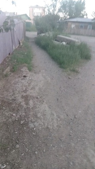 vict.orloff.2 в LOOKY. . Каждый день кормлю к...