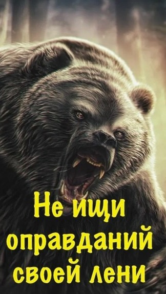 flame_corsar в LOOKY. #odyssey_of_flame_corsar,#тайга,#ковыкта,#сибирь. Все еще ищешь оправд...