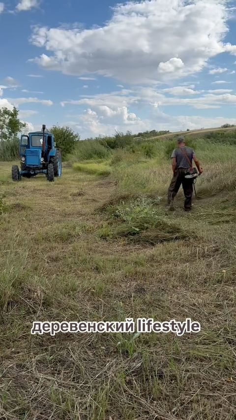 gorodnichev_live in LOOKY. . Свежая трава для 🐑�...