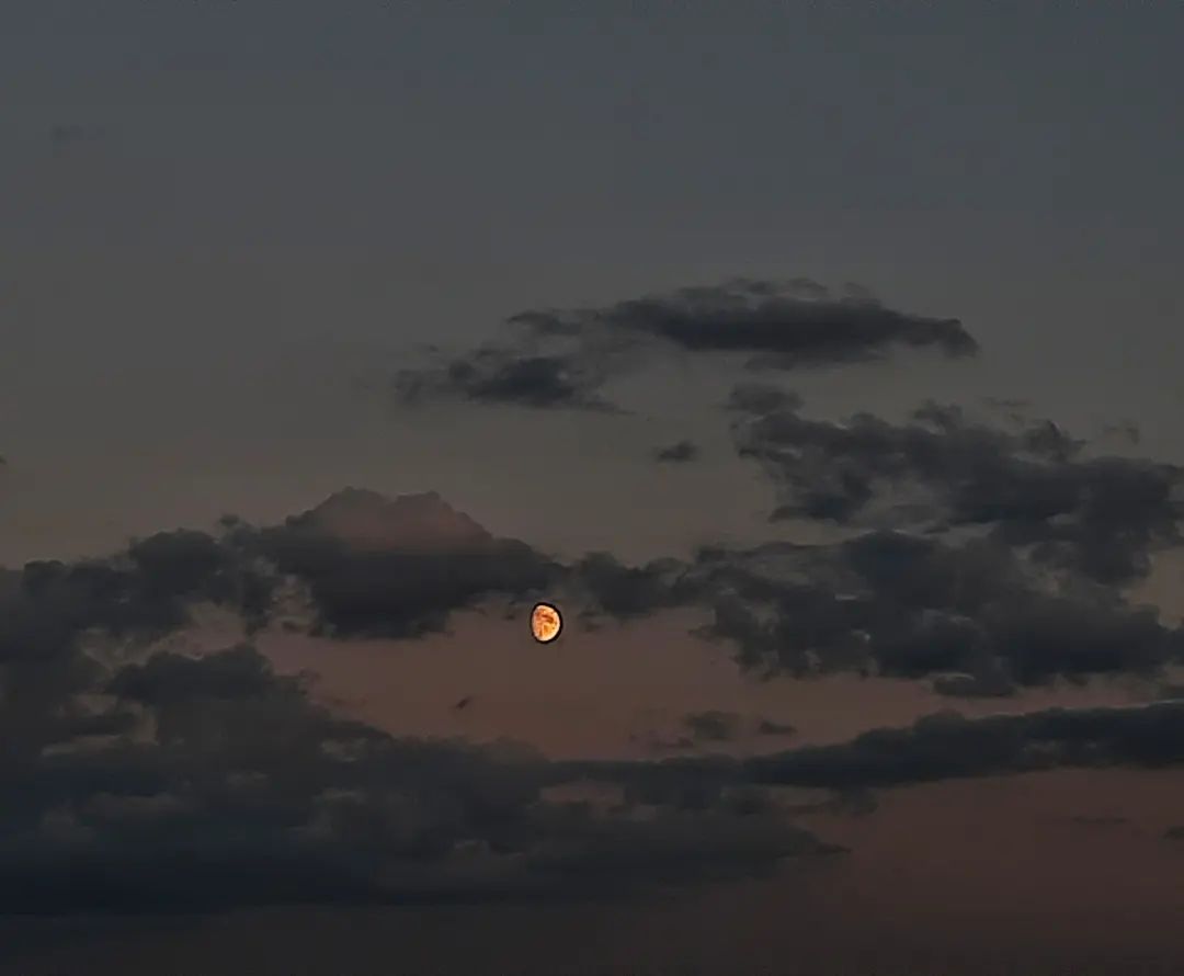 margarita.nefilim in LOOKY. #sky,#moon,#clouds,#skylover,#instasky,#skygram,#theworldofmyeyes_Ri,#carpediem,#лето,#небо,#облака,#луна,#люблюнебо,#эстетикаебеней,#мирмоимиглазами_Ри,#ловимомент,#月,#空,#物の哀れ,#夏. Напитанная ароматом ...