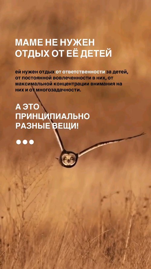 ao_krasnovy в LOOKY. #мотивациядлясебя,#цитаты,#аффирмация. Согласны?! ❤

#мотив...