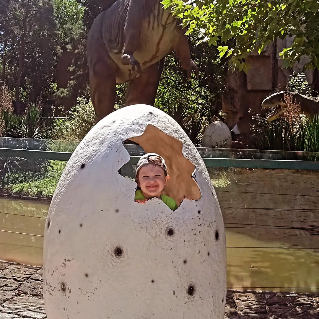 katrunochka93 в LOOKY. . Сафари парк#отлично ...