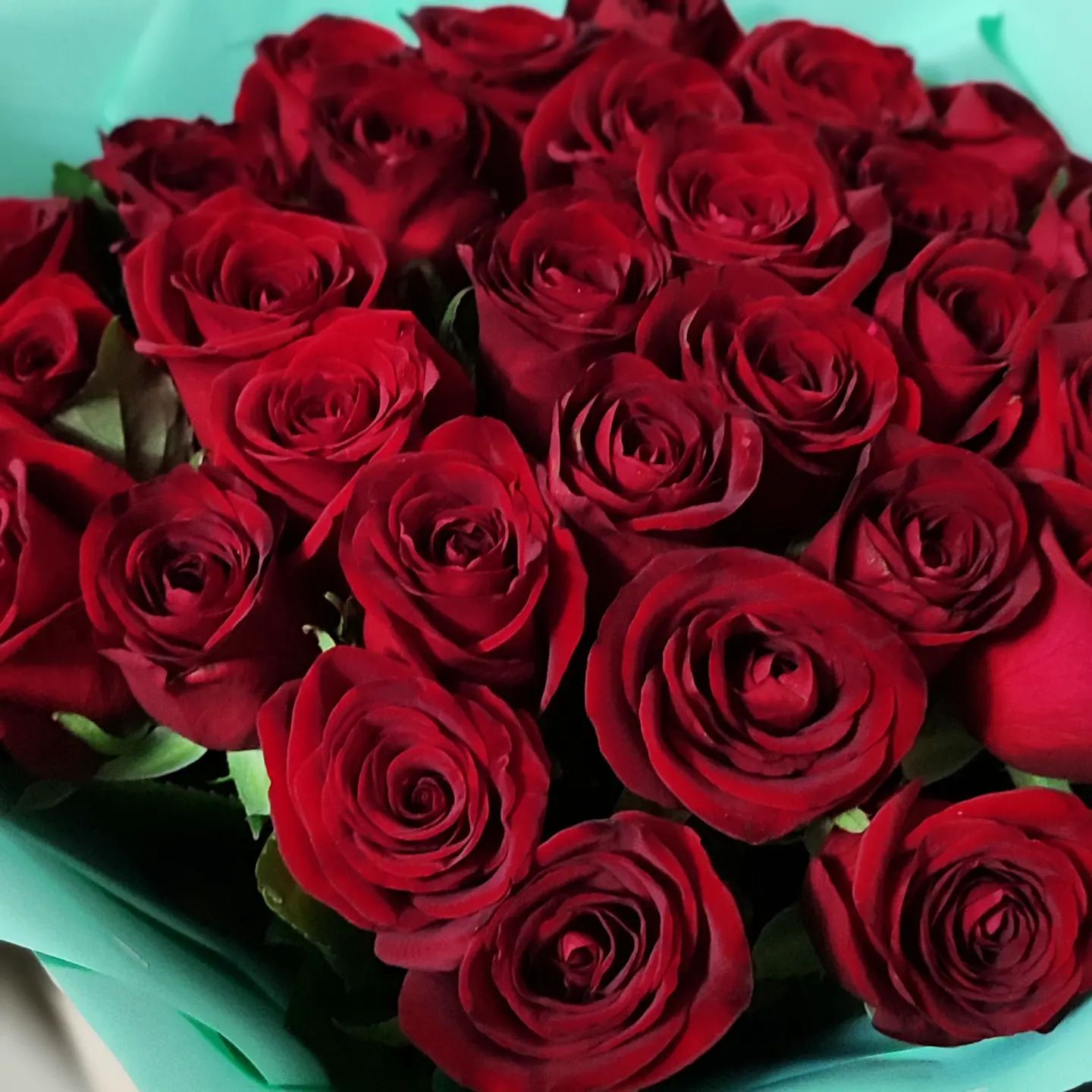 purpurny_dvizh в LOOKY. #нетслов❤️,#розы🌹🌹🌹,#как,#В-внимание. #нетслов❤️ #розы🌹🌹...