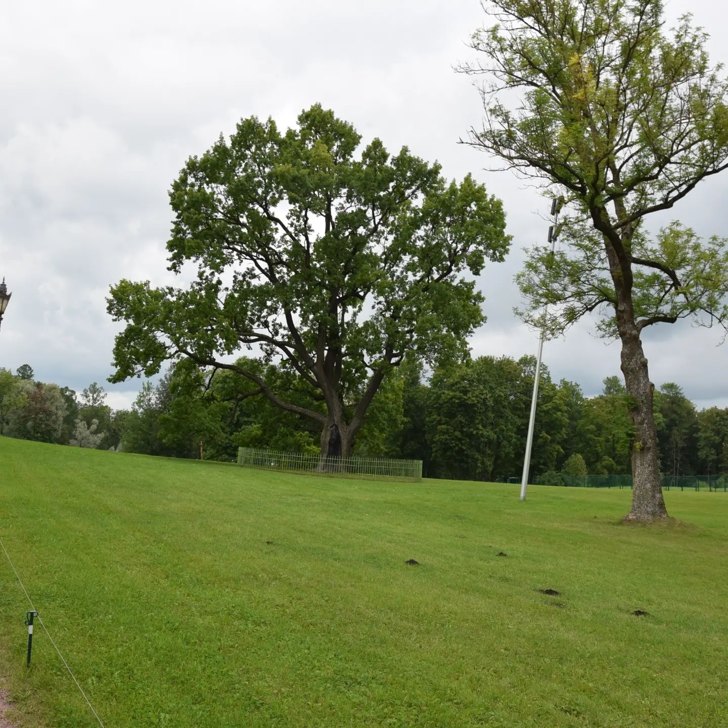 dogadaev.ru в LOOKY — фото 2