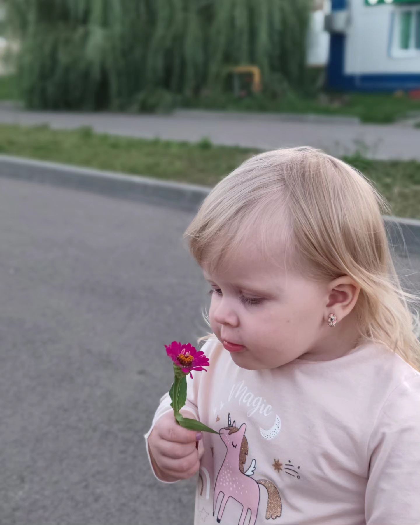 le.nochka13 в LOOKY. . Алиса 💘
