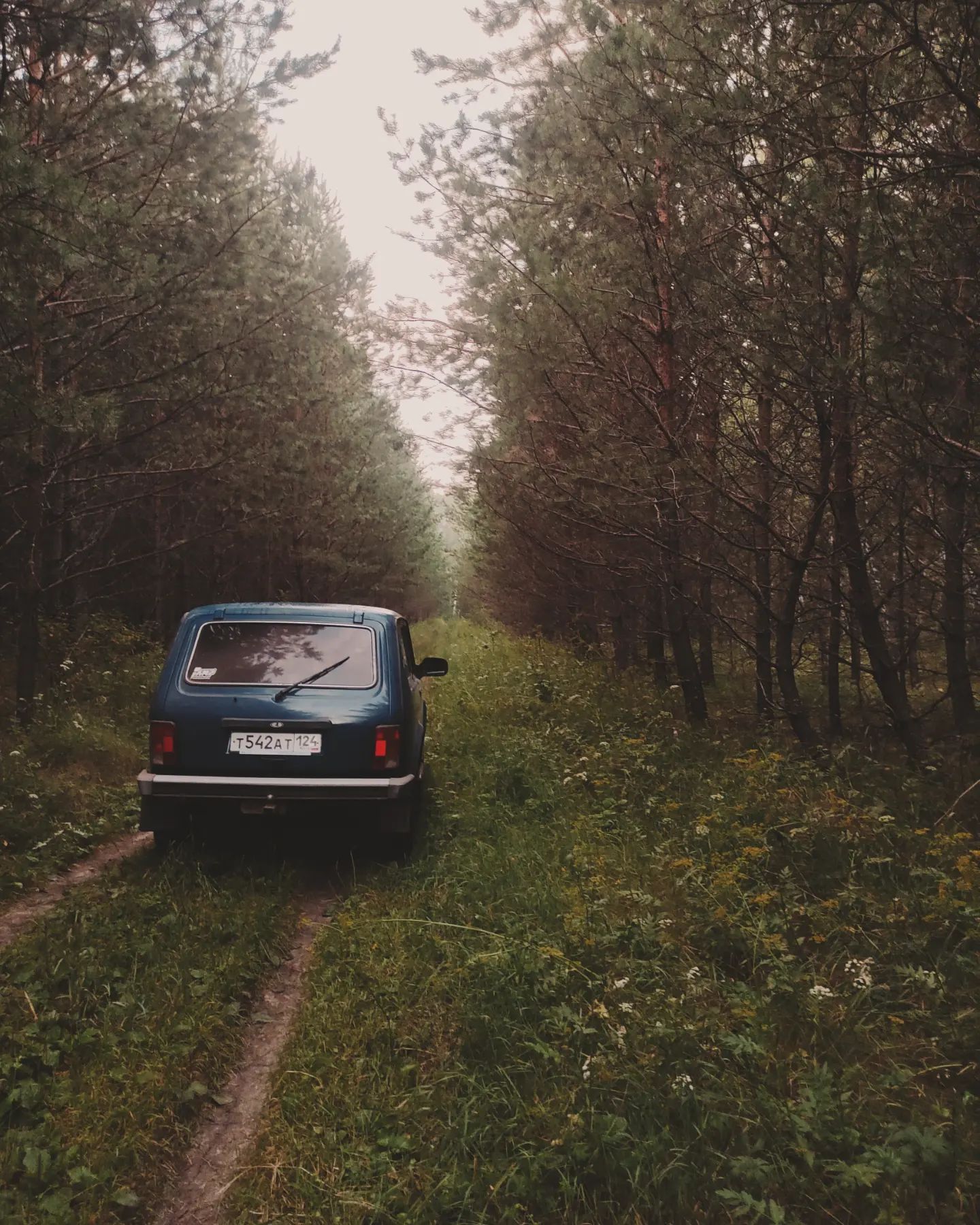 karasyov124