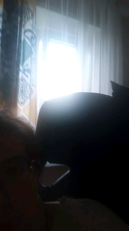cerbera_13 в LOOKY. #кот,#инстакот,#котик,#наглыйкот,#любимыйкот. Наглая жопа Ивик!
.
...