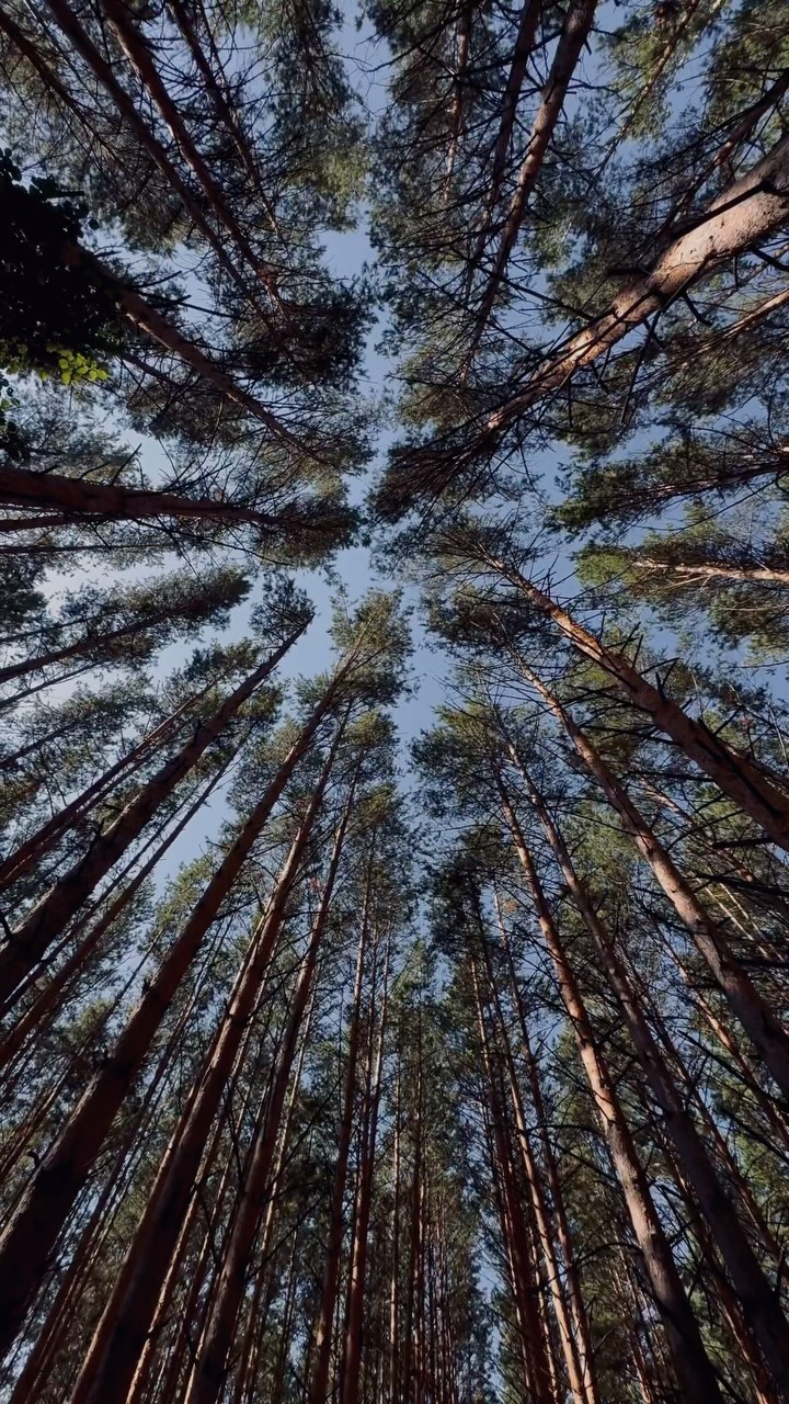 tanyasos_ в LOOKY. . Мамские будни😄 
Как...