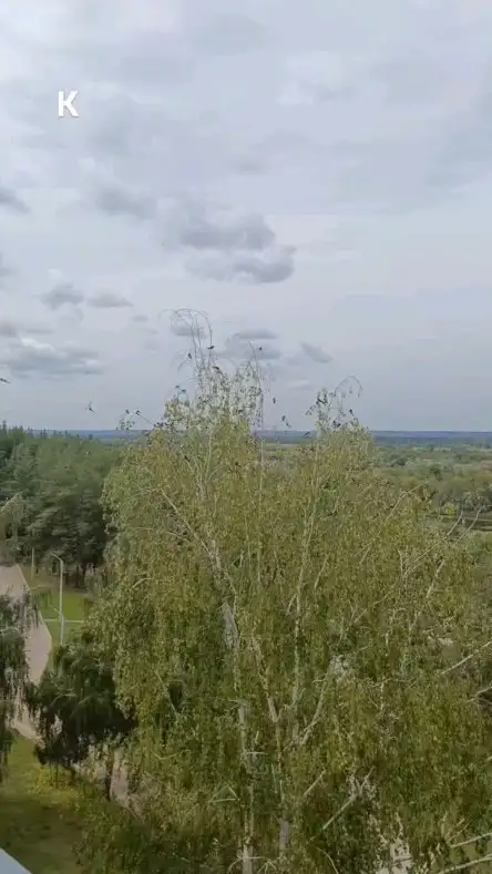 #солотча#природа#люди#птицы
