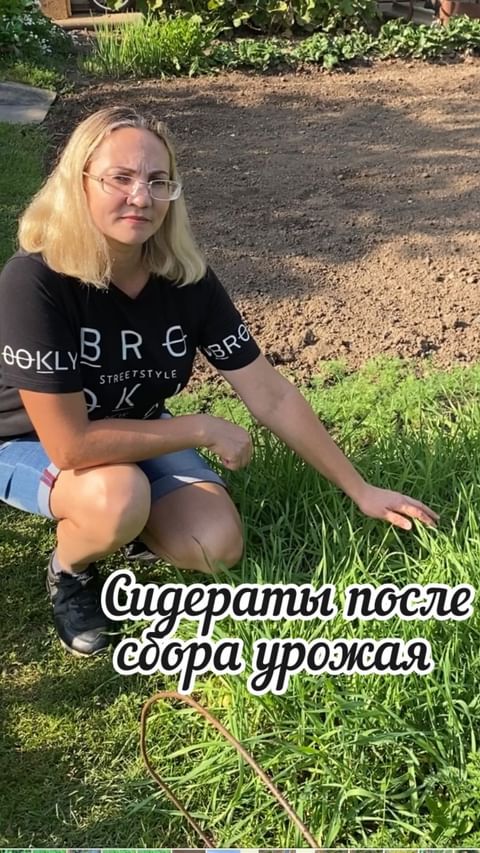 dacha_c_nulya в LOOKY. . 🥔🧅🍆🍅🥒🫑Собрали ...