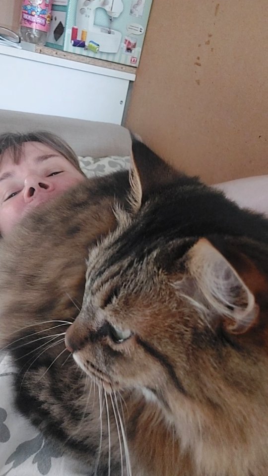 maria_musya.i.marusya.cats в LOOKY. #маруся,#безкотаижизньнета,#котикитакиекотики,#деньлени. Вчера, 20.08, был пр...