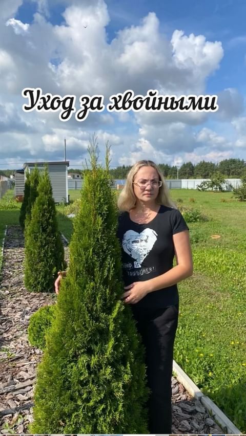 dacha_c_nulya в LOOKY. #fertika,#fertika. 🌲Сегодня расскажу к...