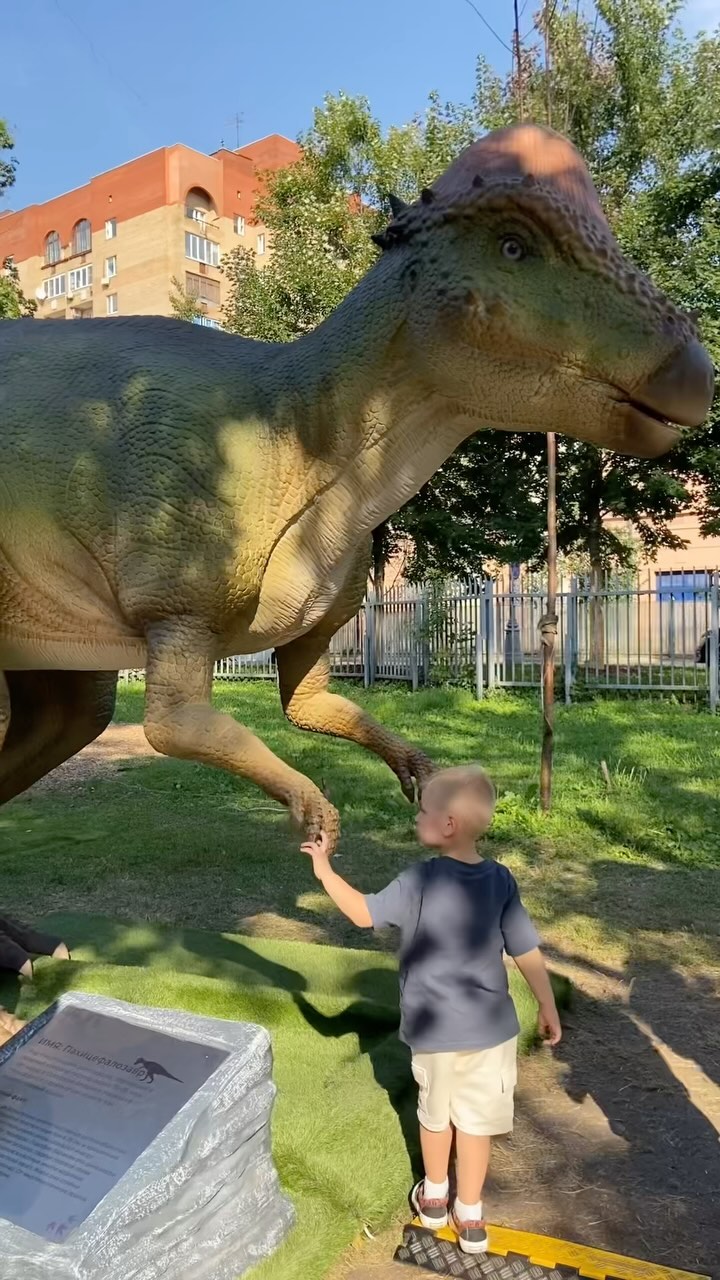 olala.katarinaaa в LOOKY. . те самые динозавры🦕