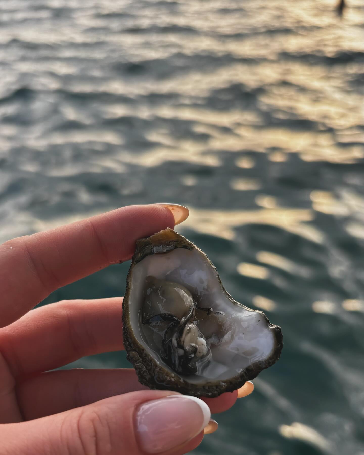 bekker_valeri в LOOKY. . Муж нарвал 🫶🏾 🐚🐚...