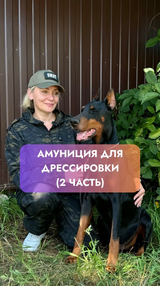 kinolog_zoopsikholog в LOOKY. . КАК ВЫБРАТЬ АМУНИЦИЮ...