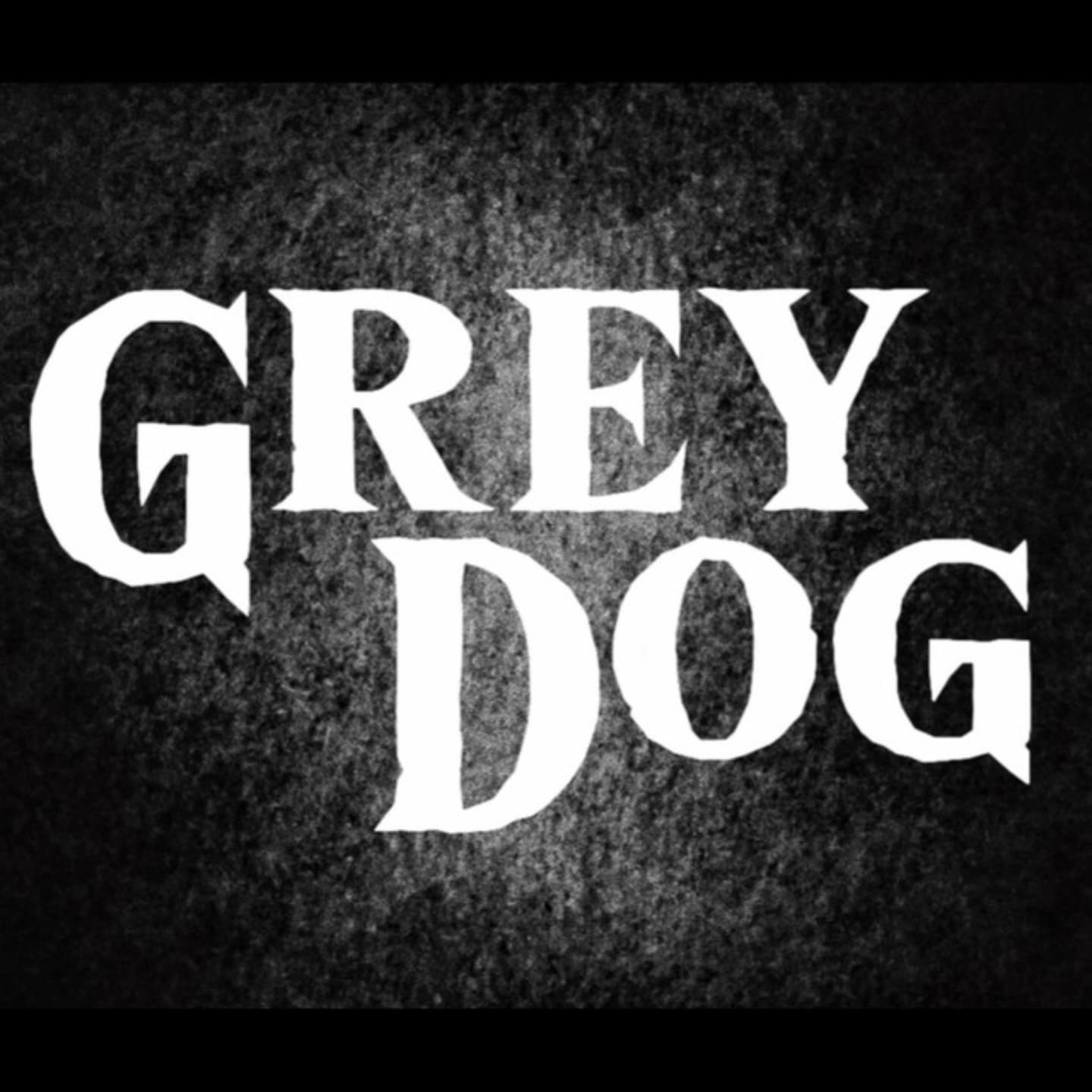 sanya__shustriy в LOOKY. #GreyDogFest. #GreyDogFest