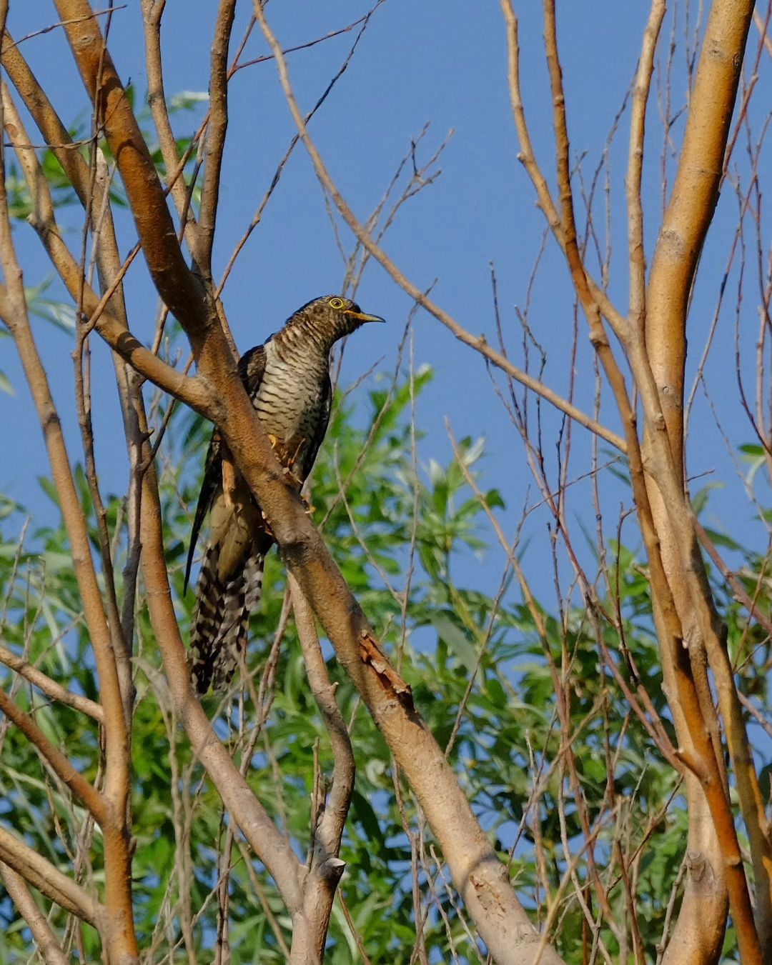 mary_maris_stella в LOOKY — фото 2
