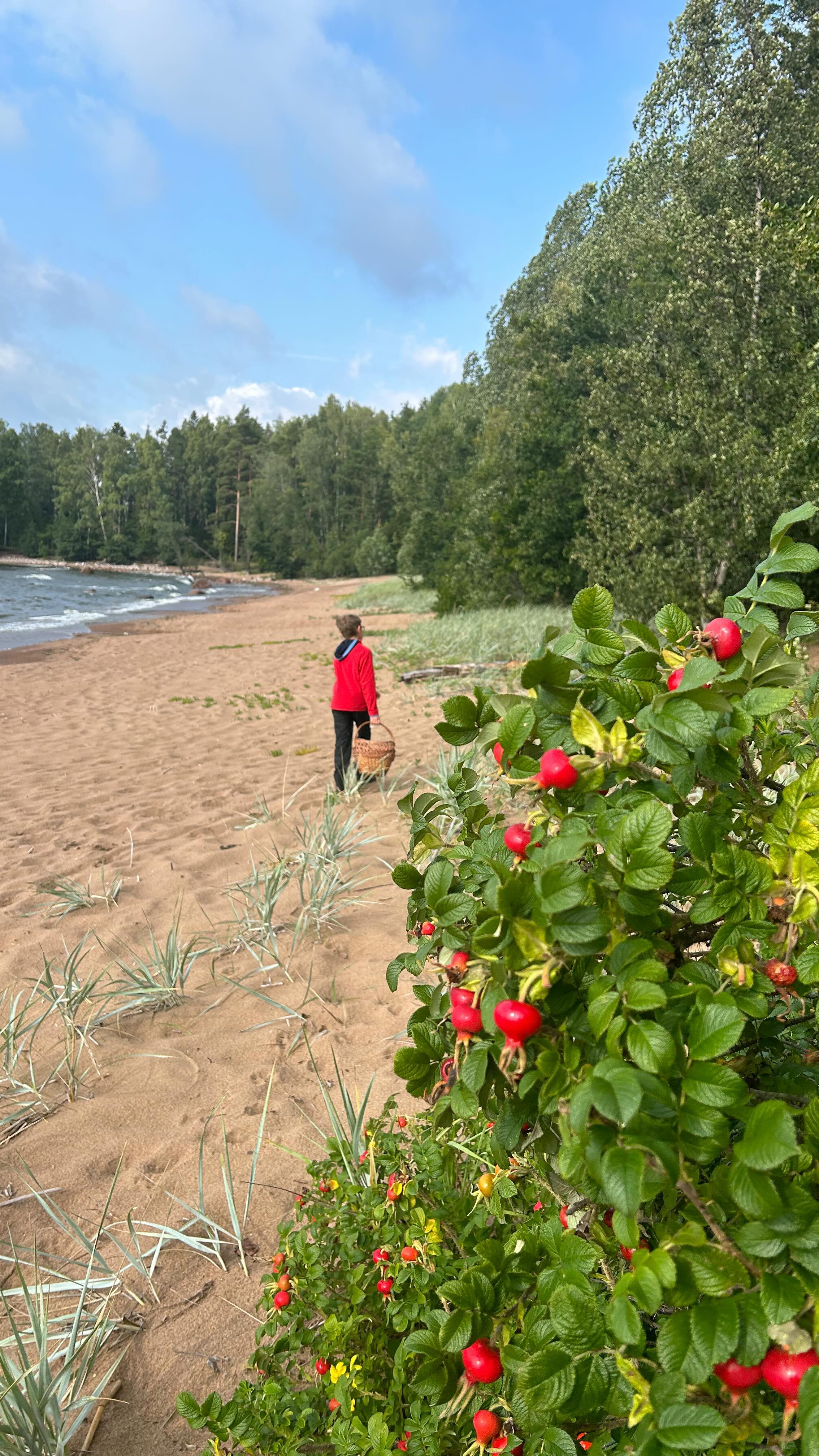 oselya_selya_vi в LOOKY. . ❤️🧡лето🧡❤️
