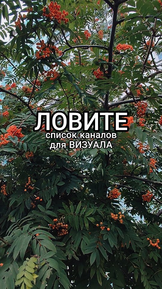 lyuborodina в LOOKY. . Приготовила для вас ...