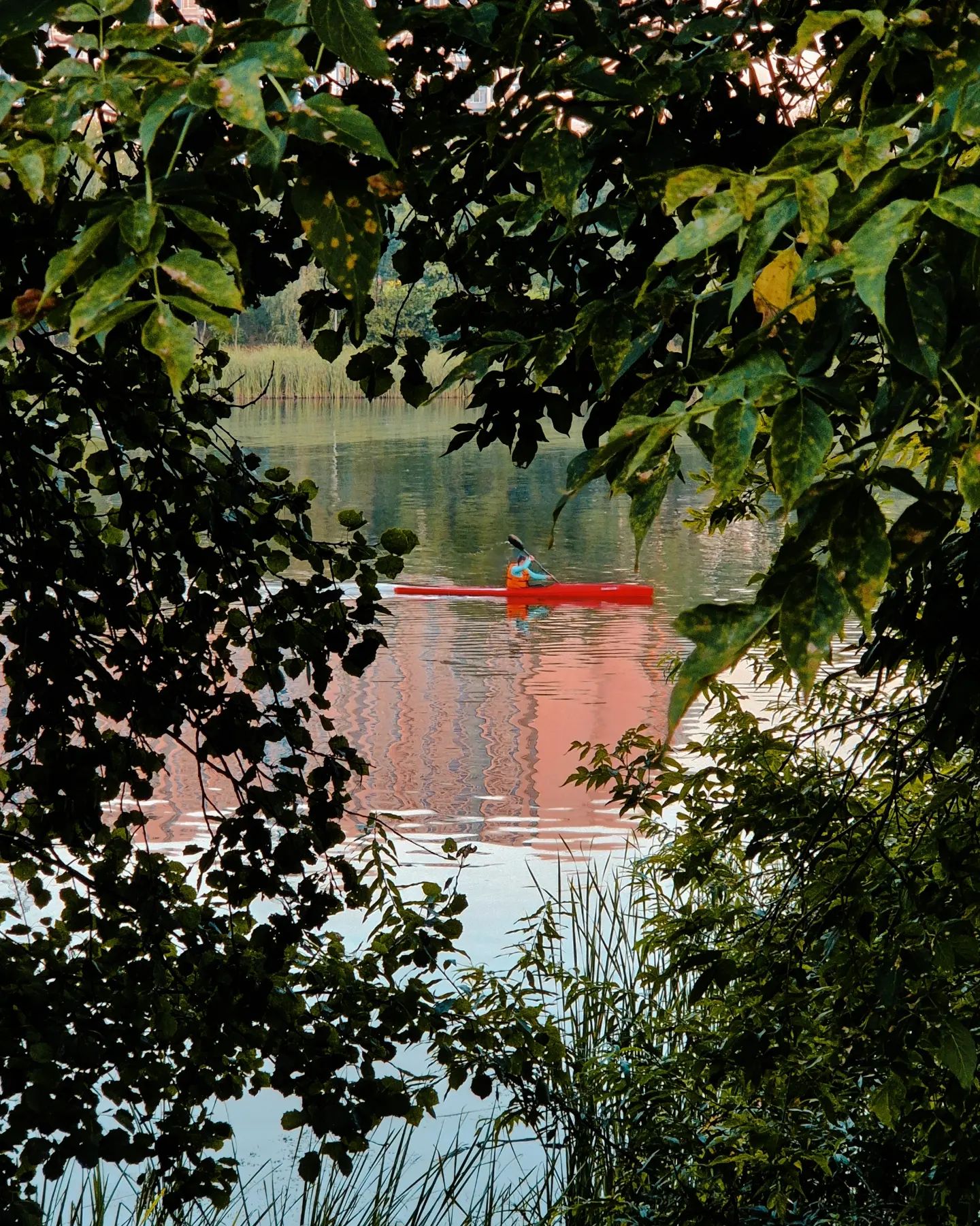 fatislana в LOOKY. #city,#photo. Urban oasis
#city #p...