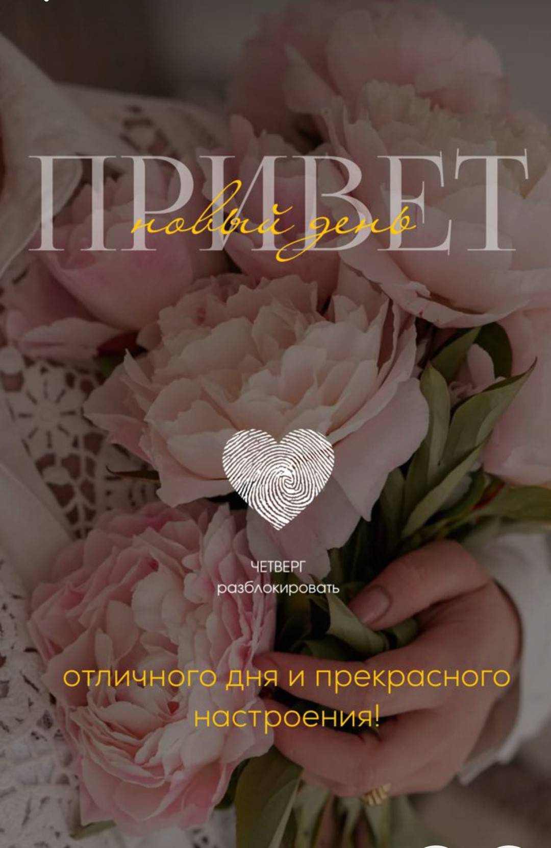 iamanovat41736 в LOOKY. . null
