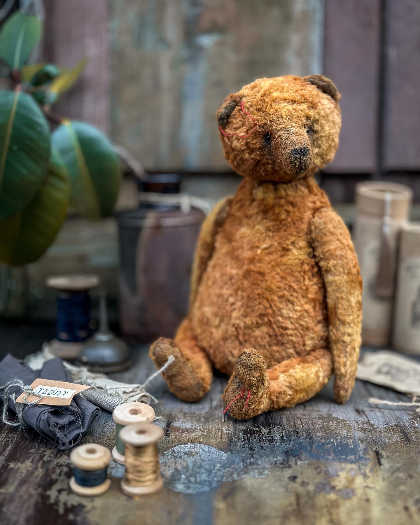 teddyandberry in LOOKY. . А давайте проголосуе...
