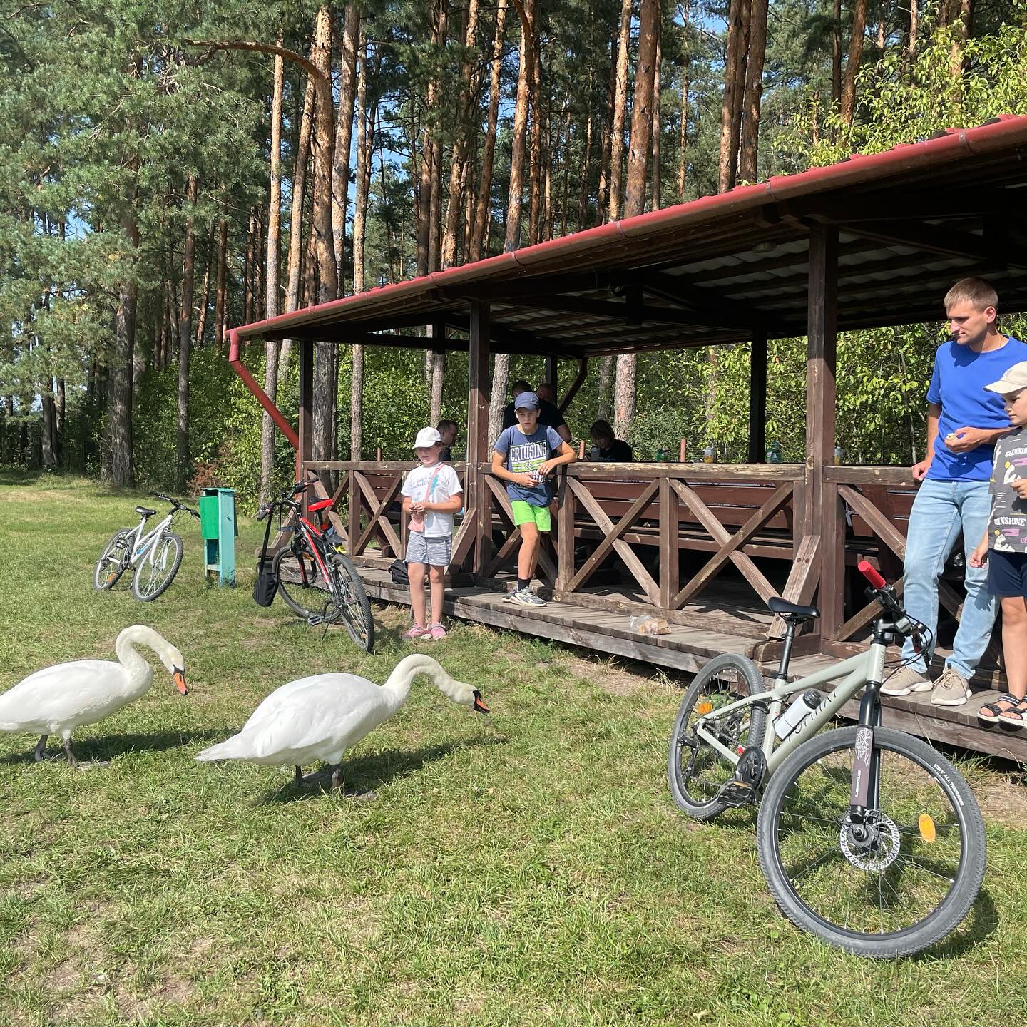 ППО ОАО Гродножилстрой в LOOKY — фото 8