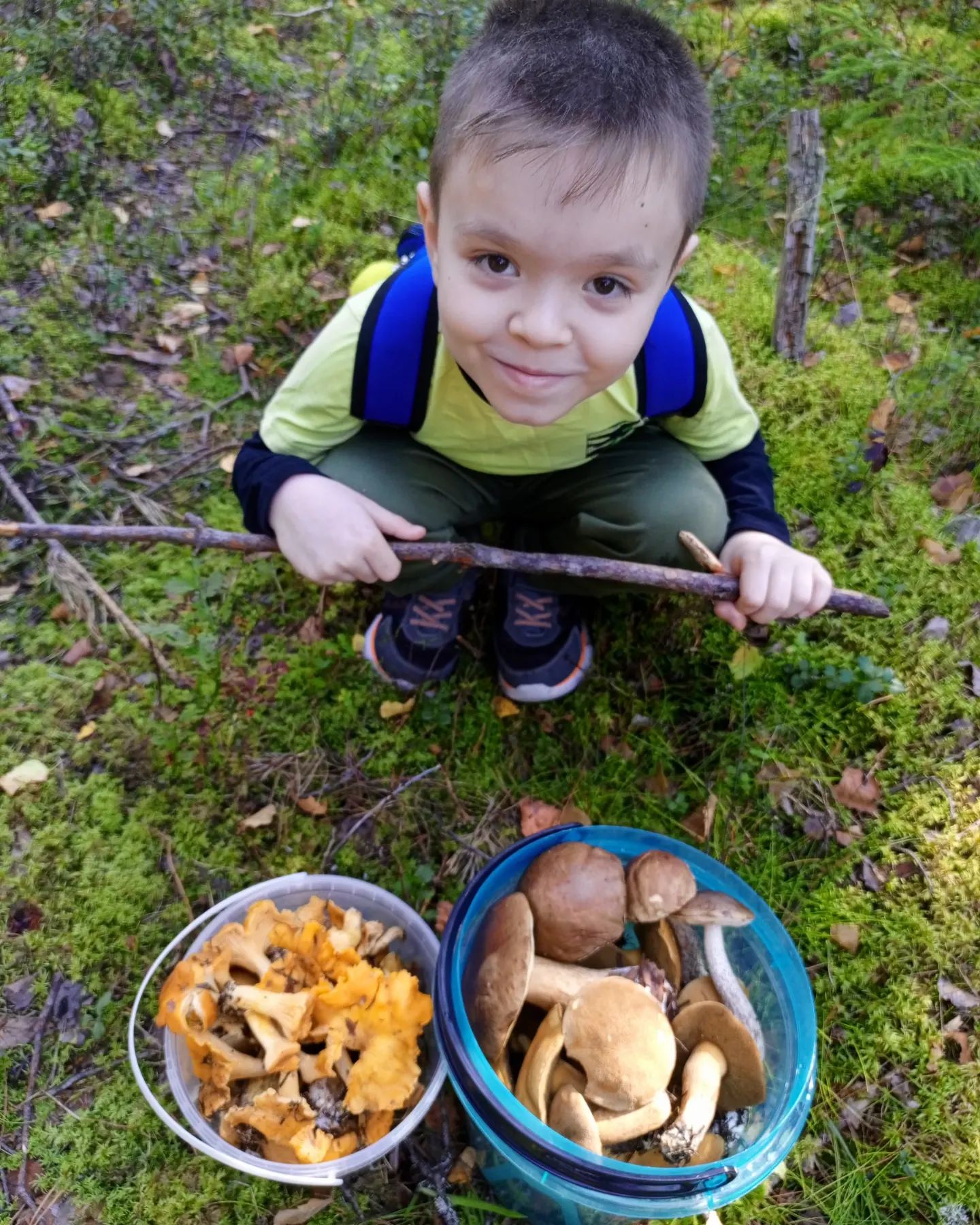 annasukhotskaya в LOOKY. #жизньЛео,#утровлесу,#mushrooms,#лето2024,#август2024. Полтора часа утренне...