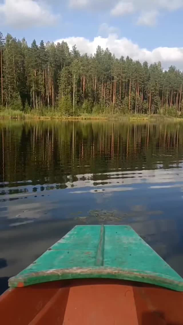 taty_kopys в LOOKY. . null