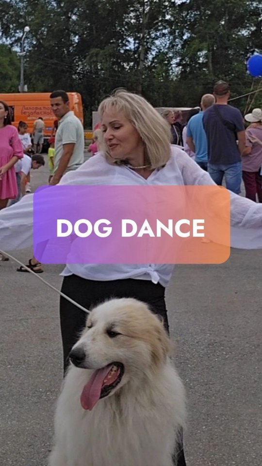 kinolog_zoopsikholog в LOOKY. #кинолог,#собака,#dog,#щенок,#дрессировкасобак,#дрессировка,#воспитаниесобак,#зоопсихолог,#танцы,#dance. Две души, один ритм!...