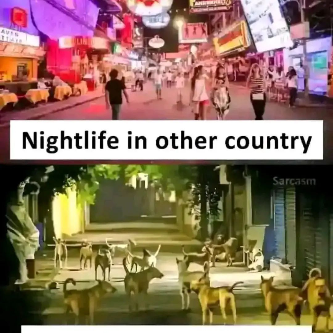 LOOKYROJAY в LOOKY. . Which country please...
