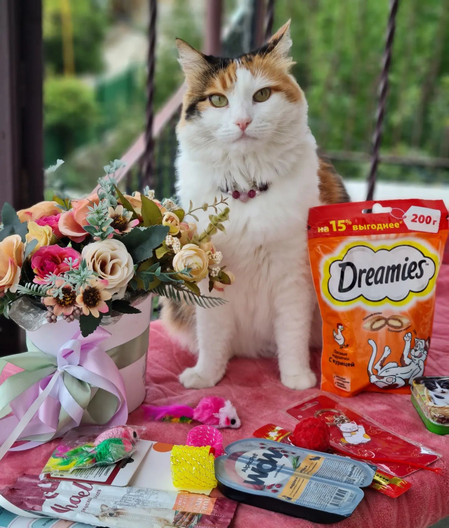 zlata_help в LOOKY. #встречакотомам,#котикисближают,#petsofinstagram,#кошачьяжизнь,#инстакошка. Доброго и замурчател...