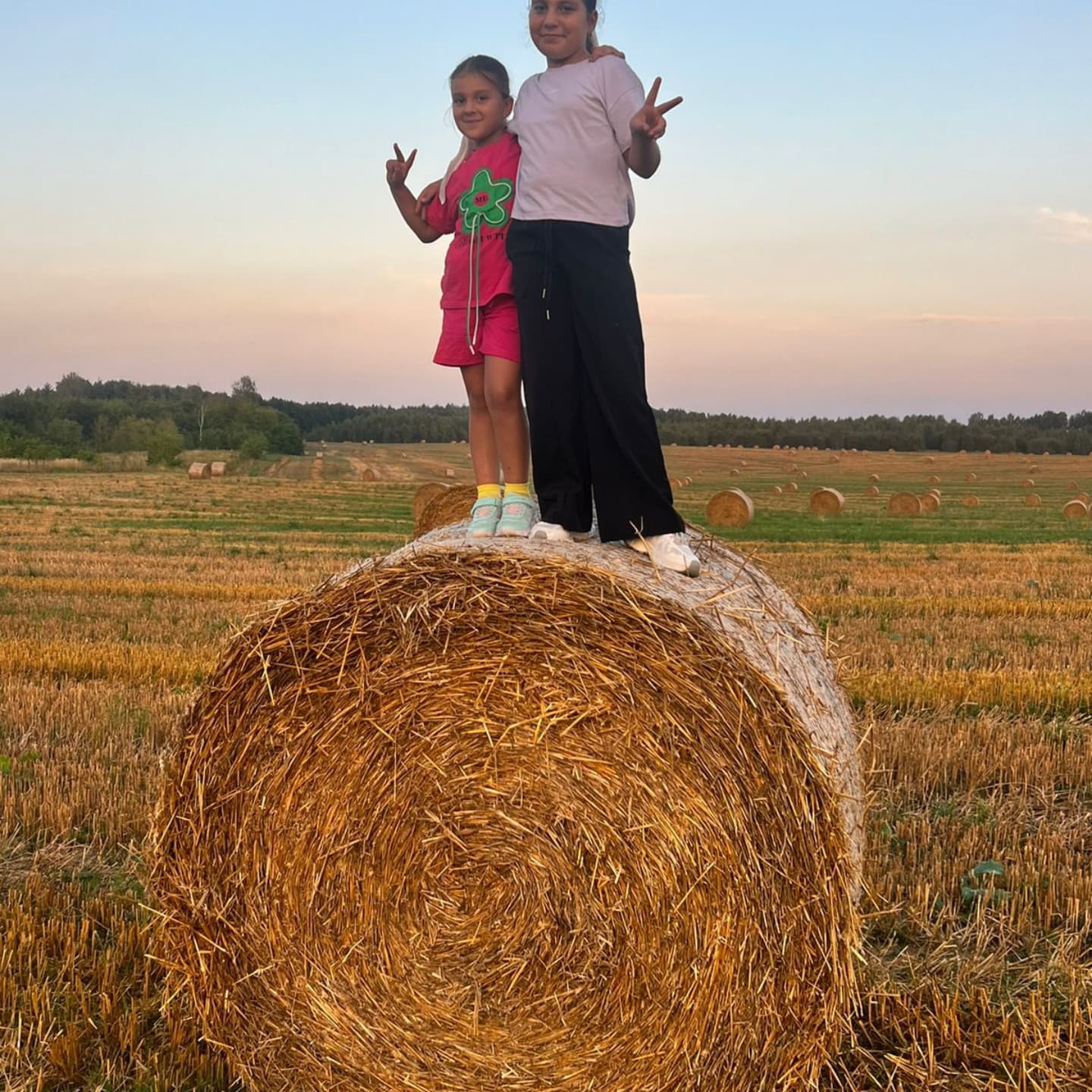 degkheidifamili in LOOKY. . null
