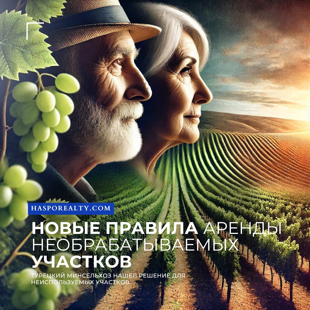 hasporealty в LOOKY. #СельскоеХозяйство,#ЗемельныеУчастки,#АрендаЗемли,#Турция,#Агропроизводство,#ПравоНедвижимости,#Агробизнес,#hasporealty,#hasporealtygroup,#турция,#алания,#аланиятурция,#квартира,#квартиравалании,#купитьквартиру,#купитьквартирувтурции,#переездвтурцию,#семья,#realestate,#инвестиции,#новости,#новостинедвижимости,#аренда. ВАЖНАЯ НОВОСТЬ ДЛЯ В...