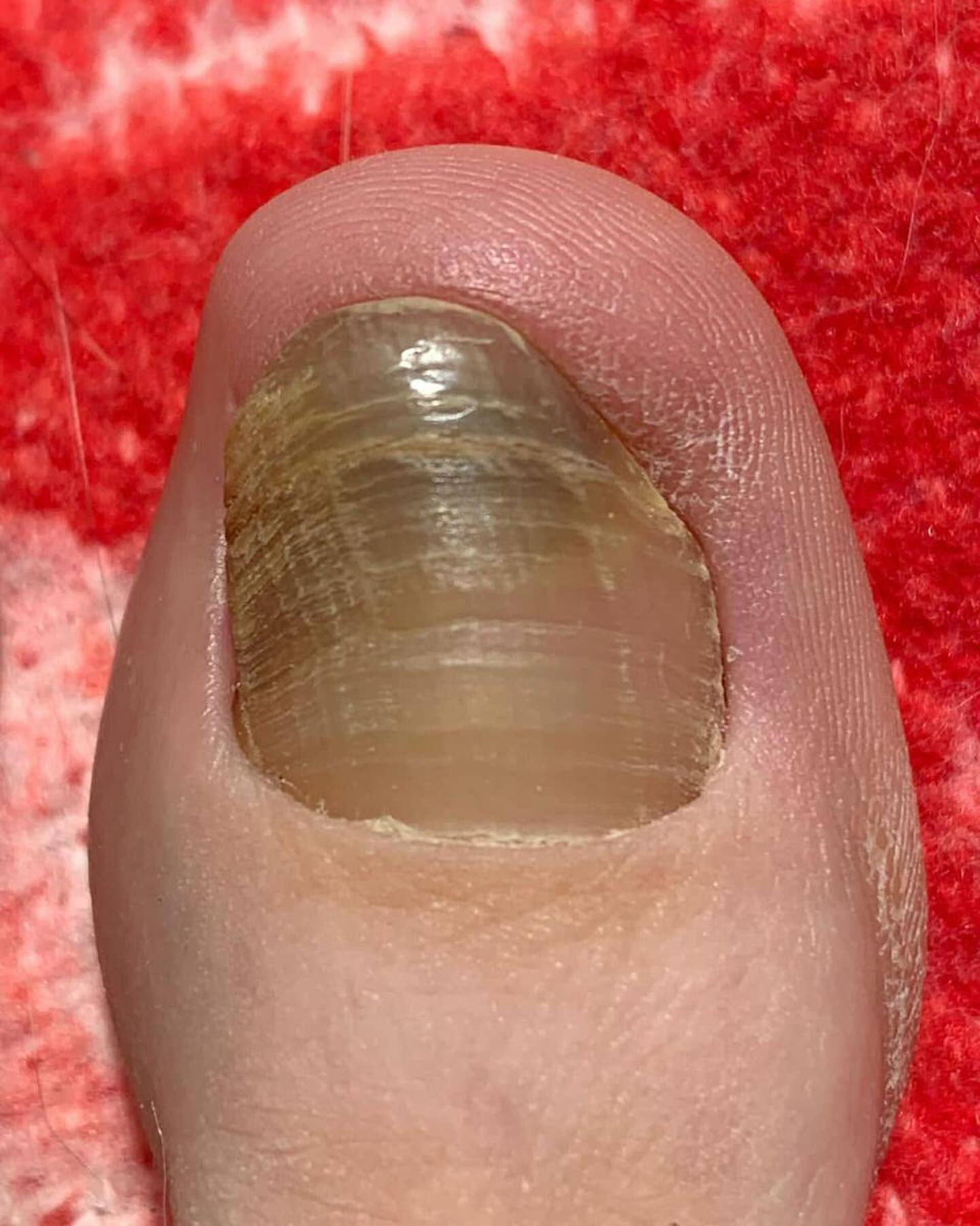 romanova_nails в LOOKY — фото 1