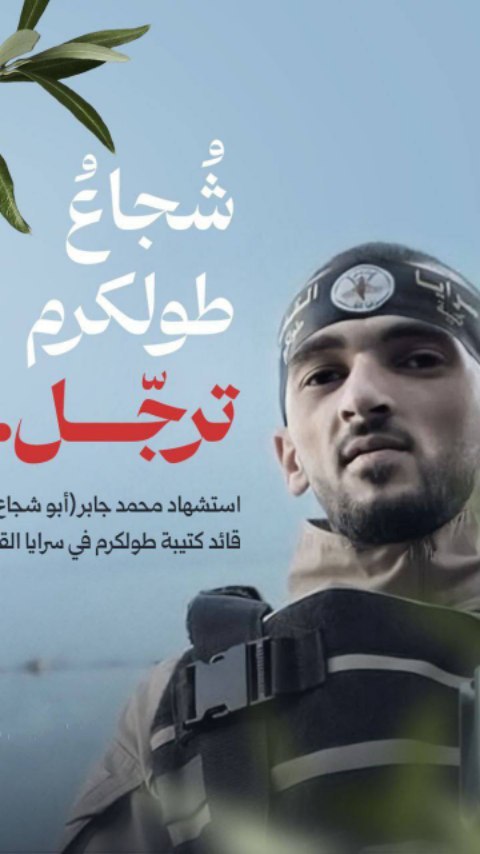 abdallah_qananbah в LOOKY. . وترجل الأسد الذي رفض...