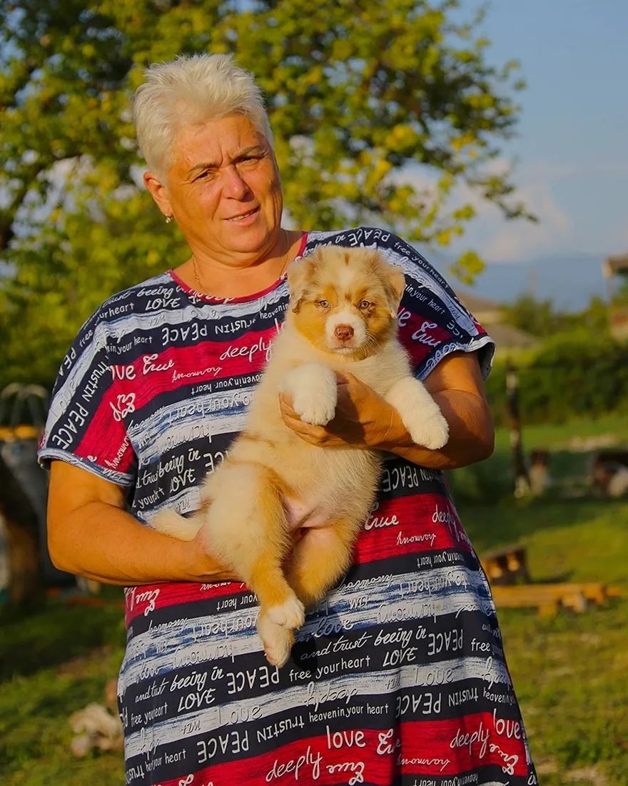 iz_doma_korolevoi_kennel в LOOKY — фото 6