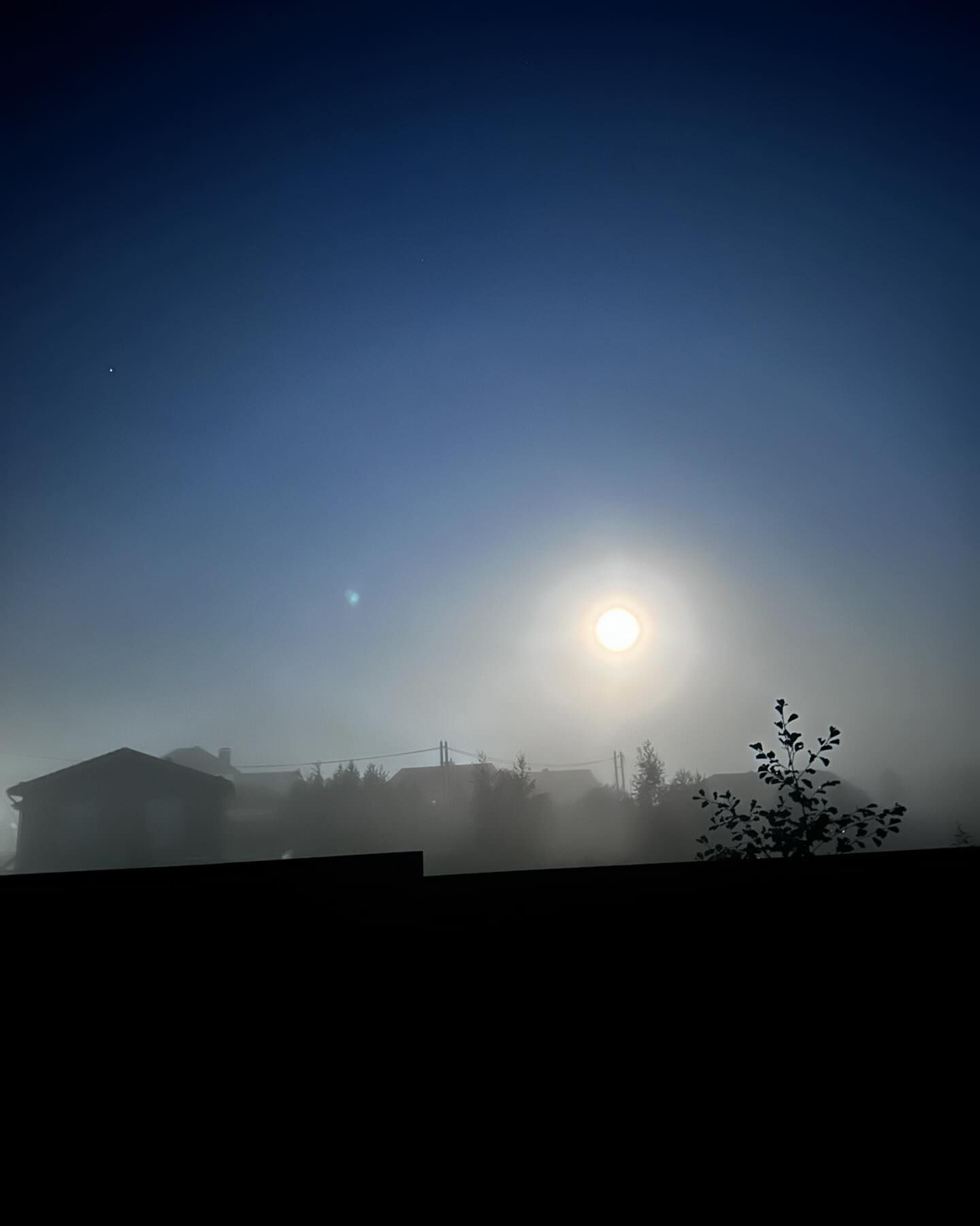 bolgov в LOOKY. . null