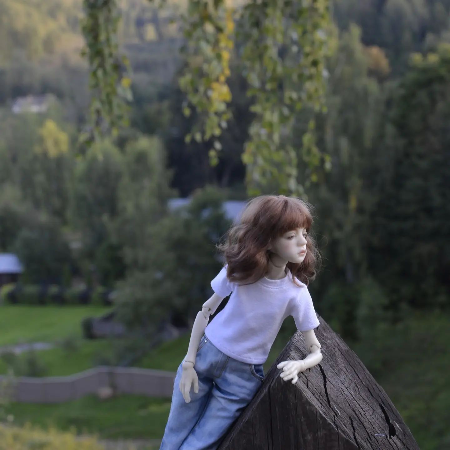 lopatkina.natalya в LOOKY. #bjddoll,#ptichkaartdolls,#жу,#плёс. Прогулка в Плёсе
#bj...