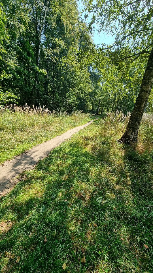 Elena в LOOKY. . 🐎🏃‍♀️🦌🐍🐍🐍😭😭�...