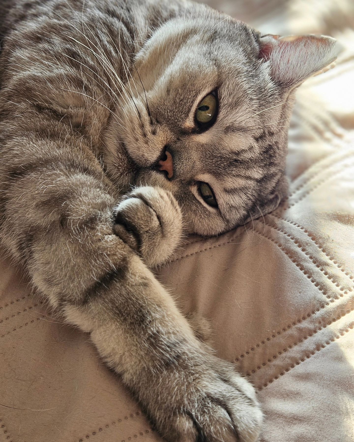 yuliya_vilin4uk в LOOKY. . "Об этой жизни я зна...