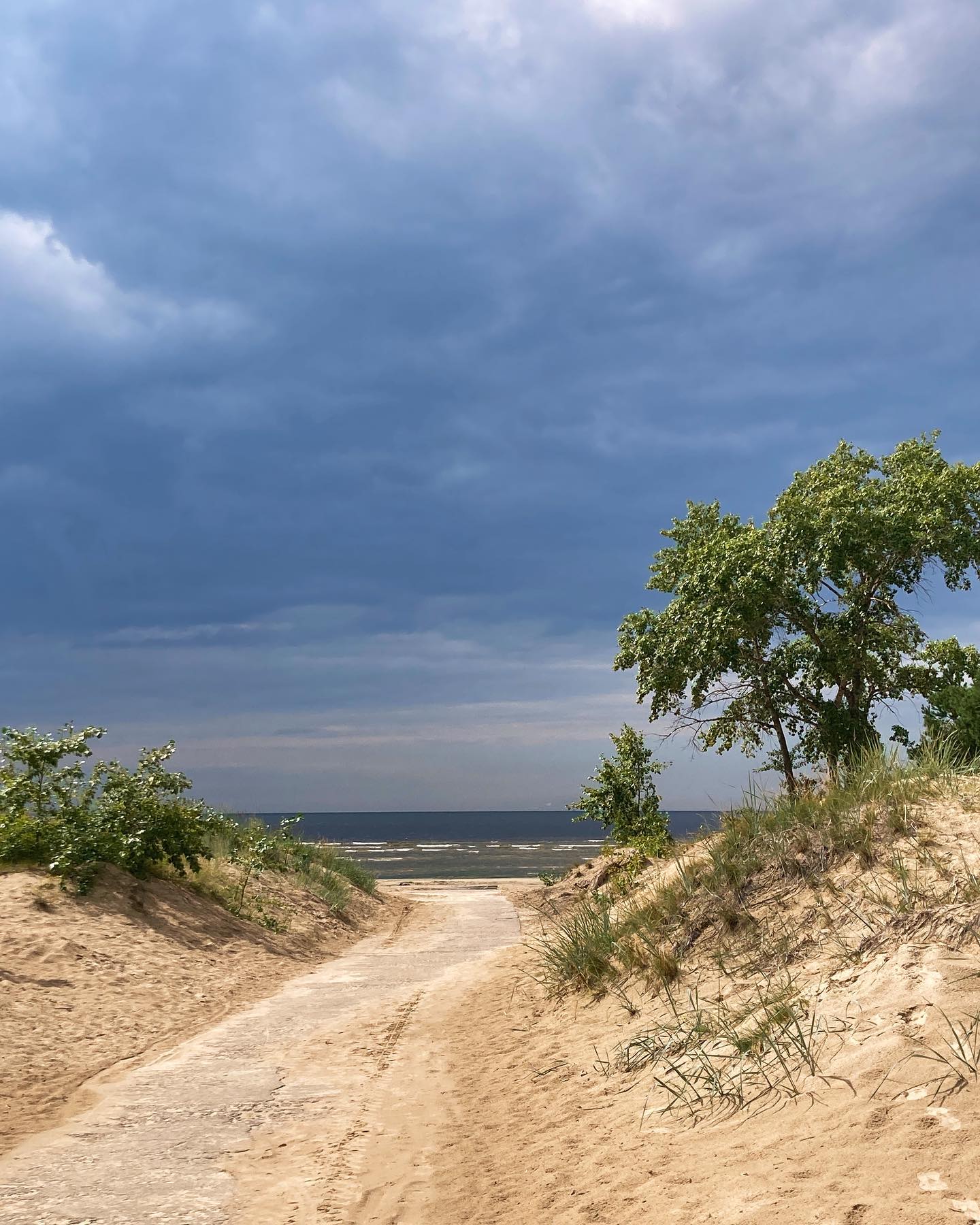 Десять картинок про лето 🌿
Море, солнце и немножечко енот