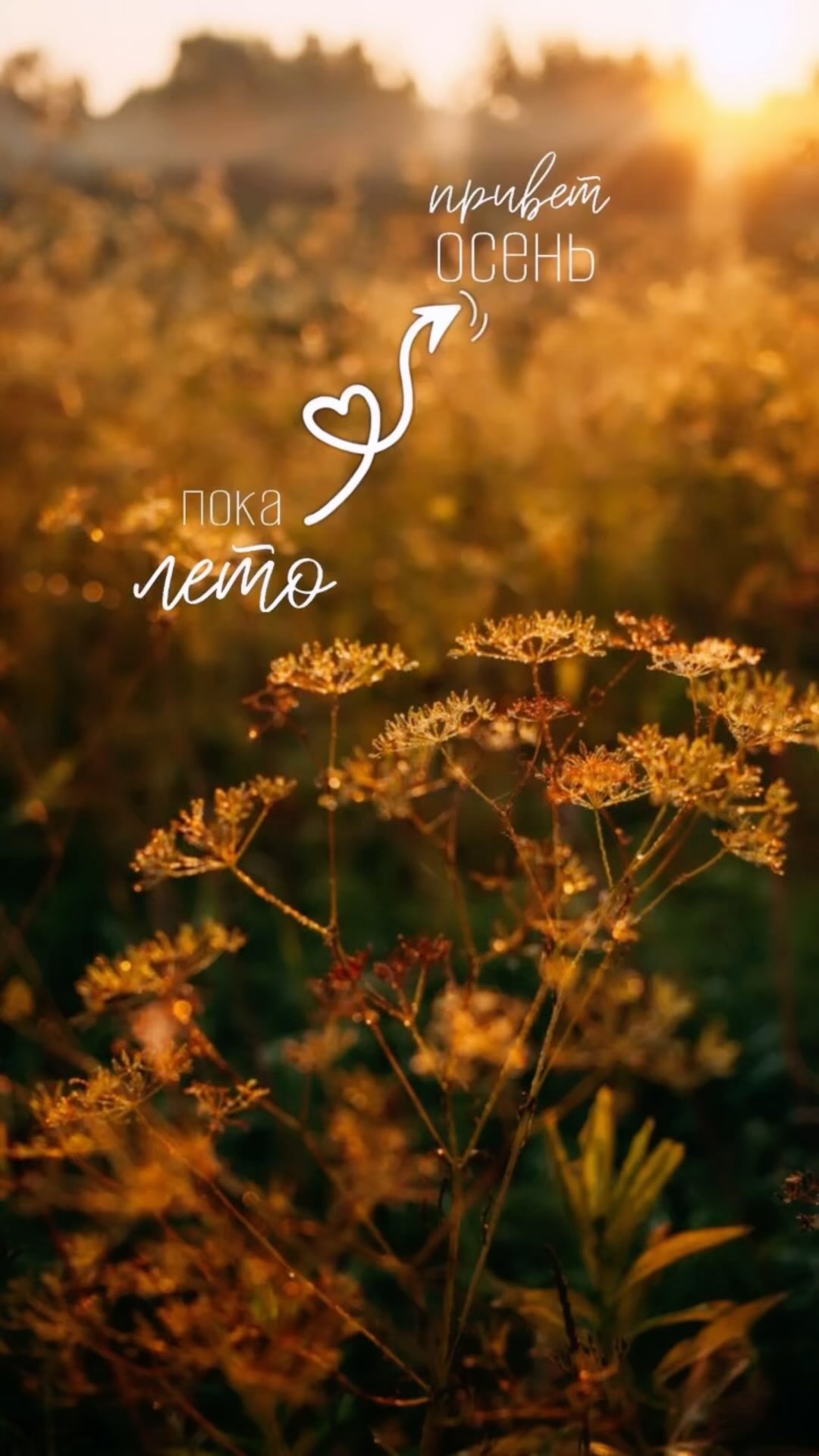 katlana_08 в LOOKY. . Это было лето 50 на ...