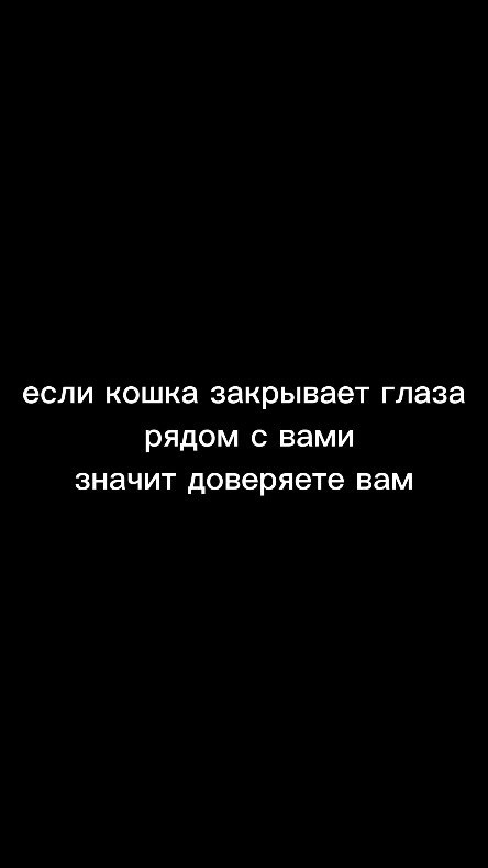 crazysmile.ps в LOOKY. #хэштег,#братьянашименьшие. #хэштег #братьянашим...