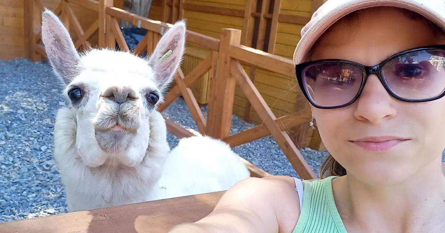 ksenya__bay в LOOKY. . Альпака🦙
