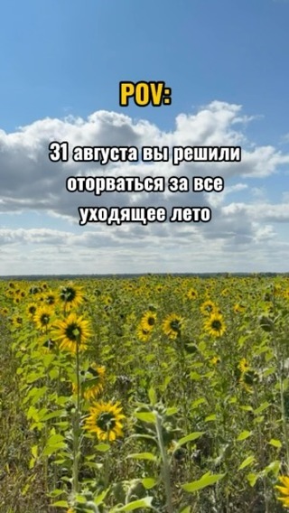 pozo.vi в LOOKY. . 31 августа vs все ле...