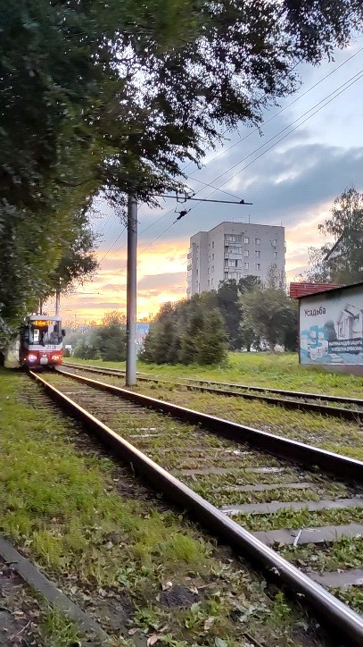 yaroslavtsevravil в LOOKY. . null