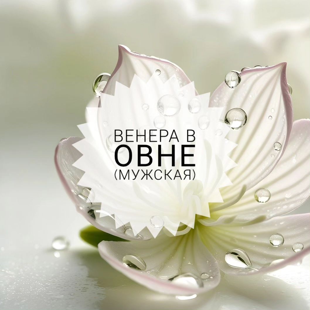 astrologie_amour в LOOKY. #венеравовне. Венера, как идентифи...