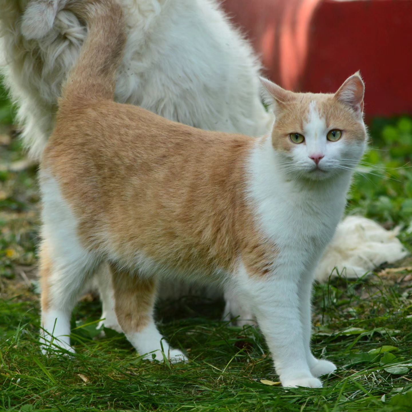olya_and_maya в LOOKY — фото 9